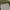 WHO.A.U Streetwear Formal pants Pria tan photo 4