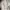Carhartt Vintage Streetwear Casual pants Pria tan cream photo 4