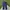 Dickies Streetwear Casual pants Pria navy photo 4