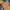 Puma Streetwear Y2K Pria multicolor photo 1