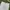 Crocodile Streetwear Casual pants Pria cream photo 3