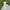 Crocodile Streetwear Casual pants Pria cream photo 1
