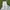 Crocodile Streetwear Casual pants Pria cream photo 2