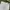 Crocodile Streetwear Casual pants Pria cream photo 5