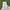 Crocodile Streetwear Casual pants Pria cream photo 4