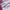 Puma Streetwear Casual Sneakers Wanita white pink photo 2