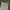 ZARA Streetwear Casual Casual trouser Wanita cream photo 3