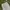 ZARA Streetwear Casual Casual trouser Wanita cream photo 5
