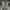Converse Y2K Futurist Boots Wanita white gray photo 3
