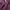 Dickies Casual Formal pants Pria burgundy photo 5