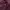 Dickies Casual Formal pants Pria burgundy photo 3