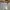 Massimo Dutti Streetwear Casual Casual trouser Wanita tan photo 8