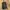 Massimo Dutti Streetwear Casual Casual trouser Wanita tan photo 5