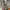 Streetwear Parka Pria green gray photo 5
