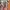 Streetwear Parka Pria green gray photo 4