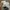 Reebok Vintage Streetwear Sneakers Pria White