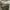 Reebok Sportswear Sneakers Pria white photo 2