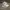 Reebok Sportswear Sneakers Pria white photo 1
