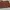 Minimalist Wristlet Wanita Brown