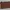 Minimalist Wristlet Wanita brown photo 3