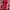 Vintage Biker Windbreaker Pria red photo 1
