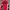 Vintage Biker Windbreaker Pria Red