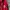 Vintage Biker Windbreaker Pria red photo 4