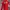 Vintage Biker Windbreaker Pria Red