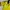Adidas Streetwear Sportswear Jersey Pria yellow photo 5