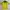 Adidas Streetwear Sportswear Jersey Pria Yellow