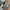 Asics Casual Sneakers Pria gray photo 2