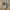 Asics Casual Sneakers Pria gray photo 1