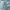 GAP Streetwear Casual Jeans Pria green photo 2