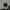 Nike Air Jordan Streetwear Pria gold black photo 1