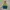 Millet Outerwear Kids green cream photo 2
