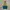 Millet Outerwear Kids Green Cream