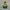 Millet Outerwear Kids Green Cream