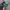 New Balance Casual Sneakers Wanita green photo 3