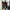 Nike Streetwear Casual Sneakers Pria multicolor photo 2
