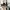 Adidas Streetwear Casual Sneakers Pria tan brown photo 1