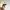 Japanese brand Vintage Luxury Sunglass Pria black photo 5