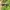 Japanese brand Vintage Luxury Sunglass Pria black photo 3