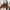 Nike Streetwear Casual Sneakers Pria multicolor photo 1