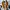 Nike Streetwear Casual Sneakers Pria multicolor photo 6