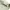 Casual Polo shirt Pria khaki photo 7