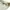 Casual Polo shirt Pria khaki photo 6