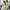 Nike Streetwear Casual Sneakers Pria tan black photo 4