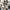 Nike Streetwear Casual Sneakers Pria tan brown photo 5