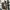 Nike Streetwear Casual Sneakers Pria multicolor photo 5