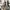 Nike Streetwear Casual Sneakers Pria multicolor photo 3